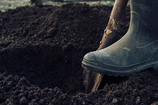 topsoil